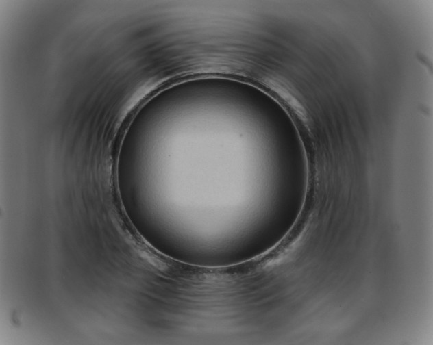 X0000097650933200803071506