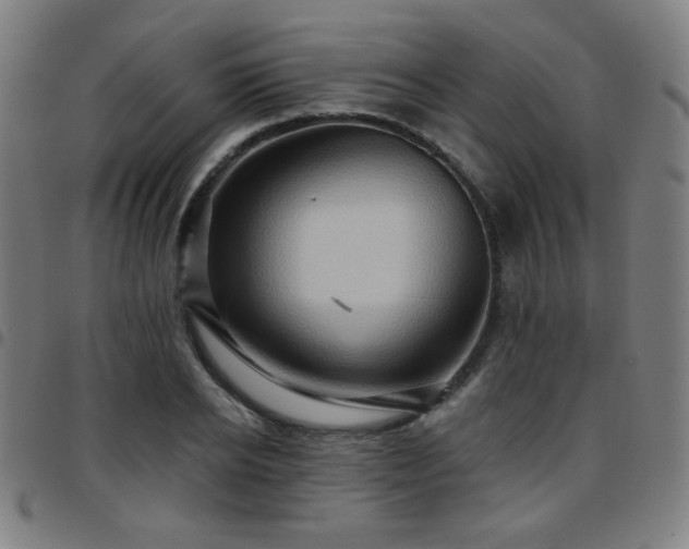 X0000097650934200803071506