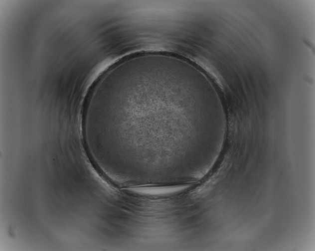 X0000097650935200803071506