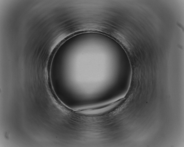 X0000097650936200803071506