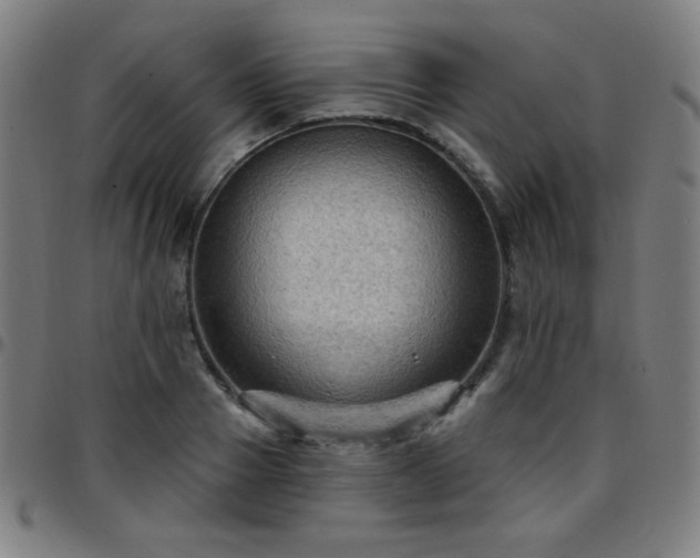 X0000097650937200803071506