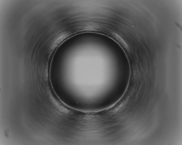 X0000097650938200803071506