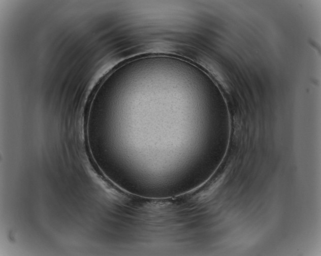 X0000097650939200803071506