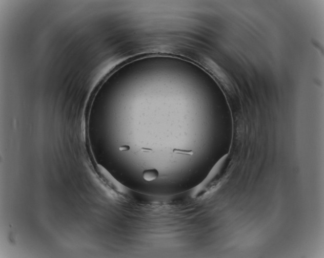 X0000097650940200803071506