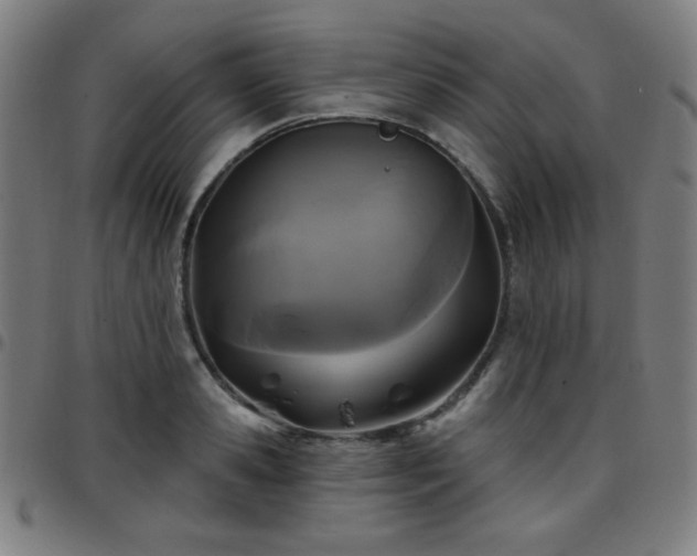 X0000097650941200803071506