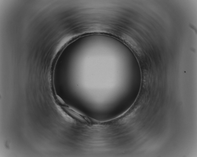 X0000097650942200803071506