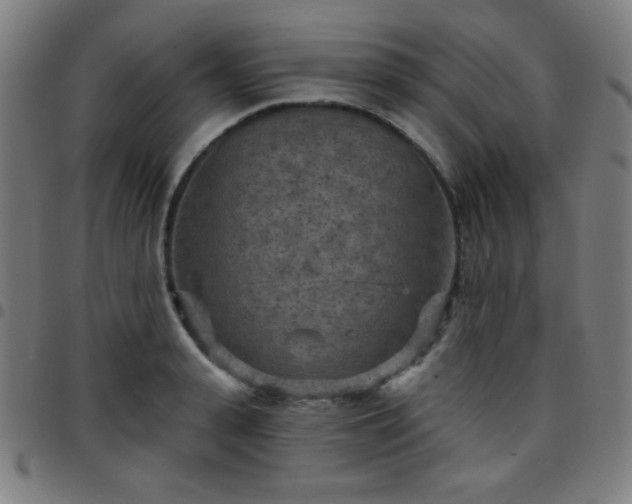 X0000097650943200803071506