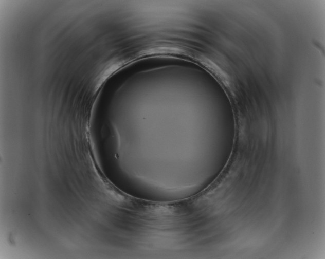 X0000097650945200803071506