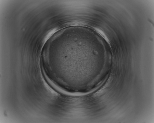 X0000097650946200803071506