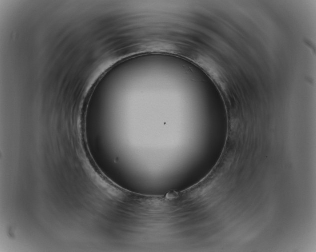 X0000097650947200803071506