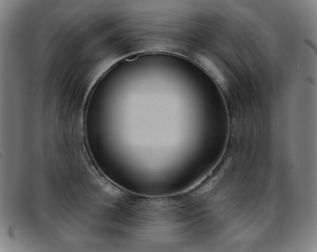 X0000097650948200803071506