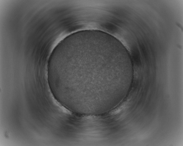 X0000097650950200803071506