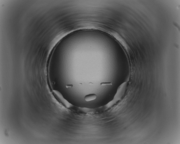 X0000097650951200803071506