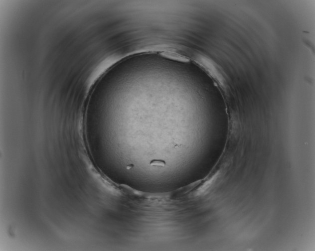 X0000097650952200803071506