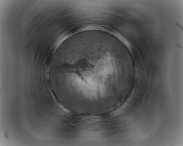 X0000097650953200803071506