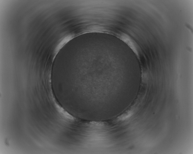 X0000097650954200803071506