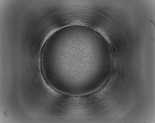 X0000097650955200803071506