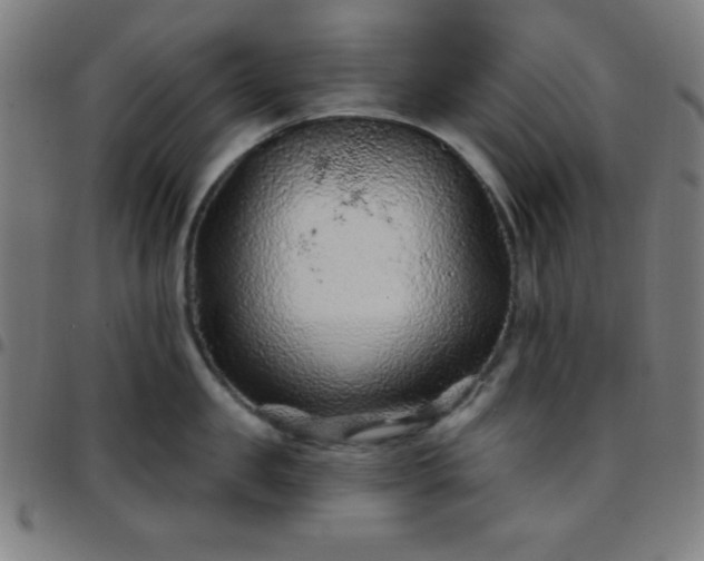 X0000097650957200803071506