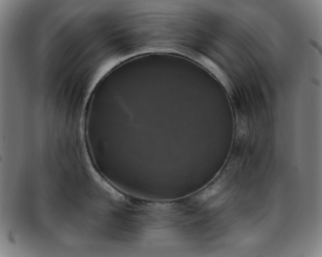 X0000097650958200803071506