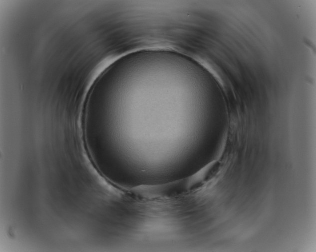 X0000097650959200803071506