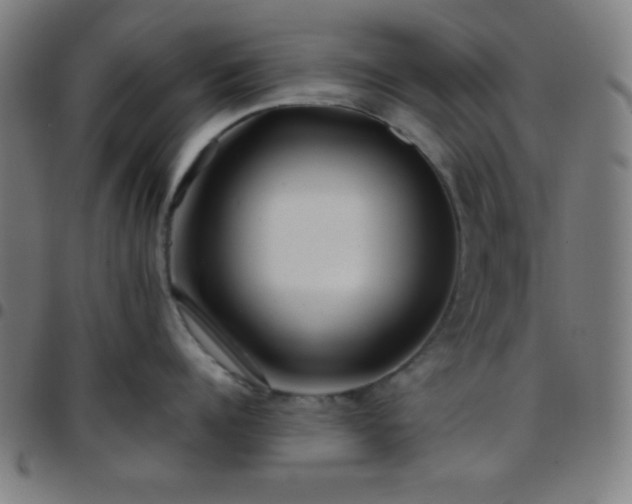 X0000097650960200803071506