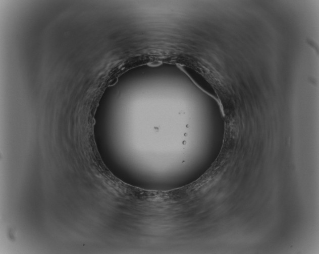 X0000097650961200803071505