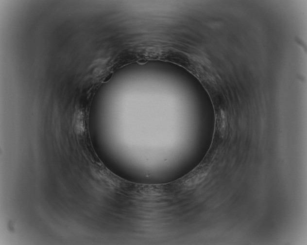 X0000097650962200803071505