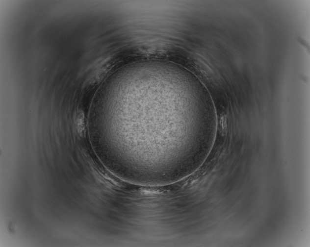 X0000097650963200803071505