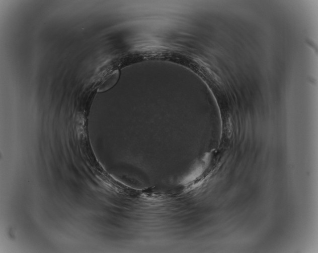 X0000097650964200803071505