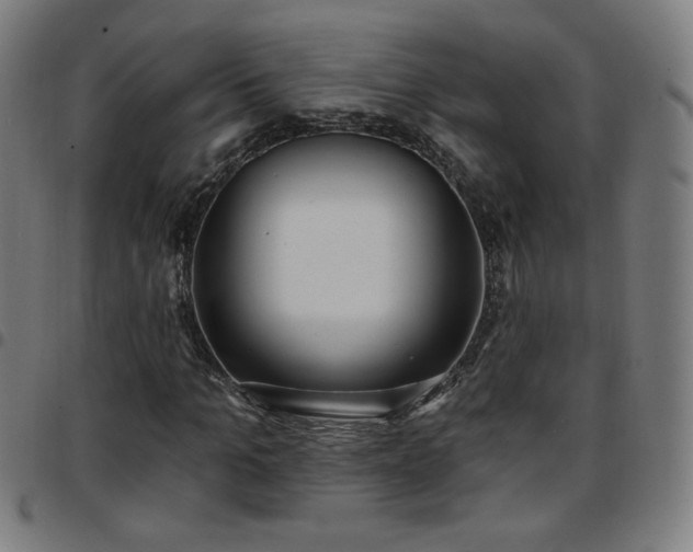 X0000097650965200803071505