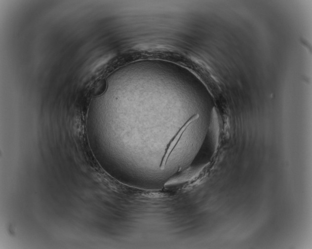 X0000097650966200803071505