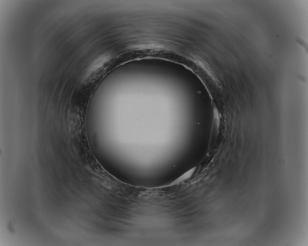 X0000097650967200803071505