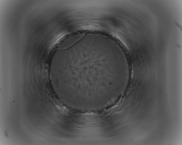 X0000097650968200803071505