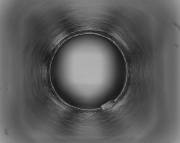 X0000097650969200803071505