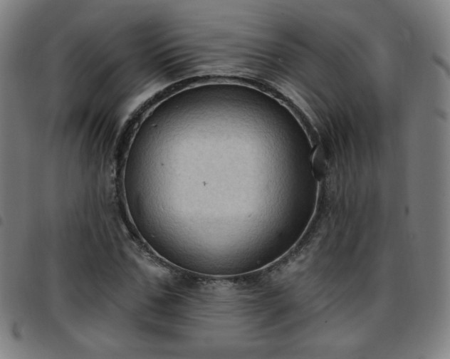 X0000097650971200803071505