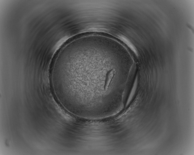 X0000097650972200803071505