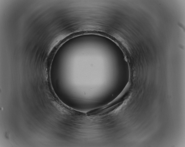 X0000097650973200803071505