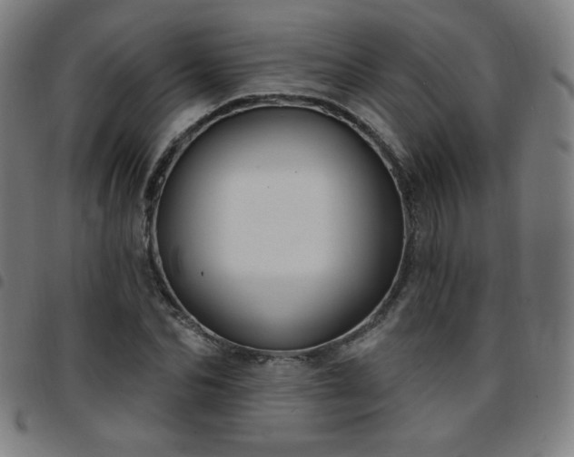 X0000097650974200803071505