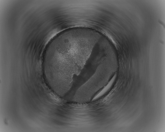 X0000097650975200803071505