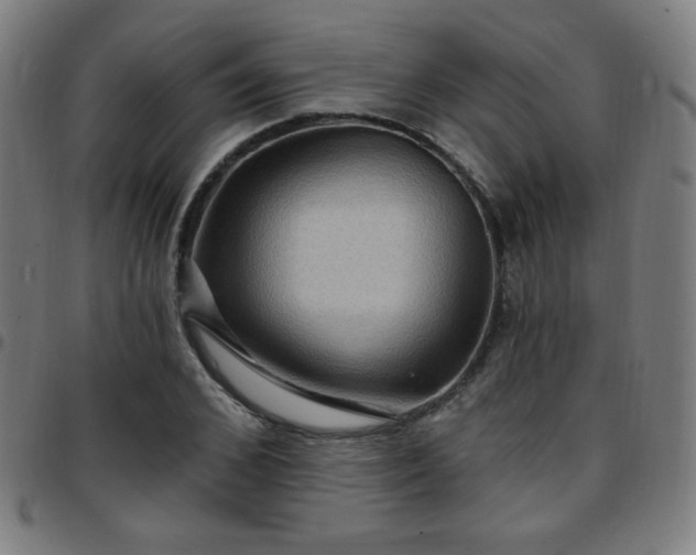 X0000097650976200803071505