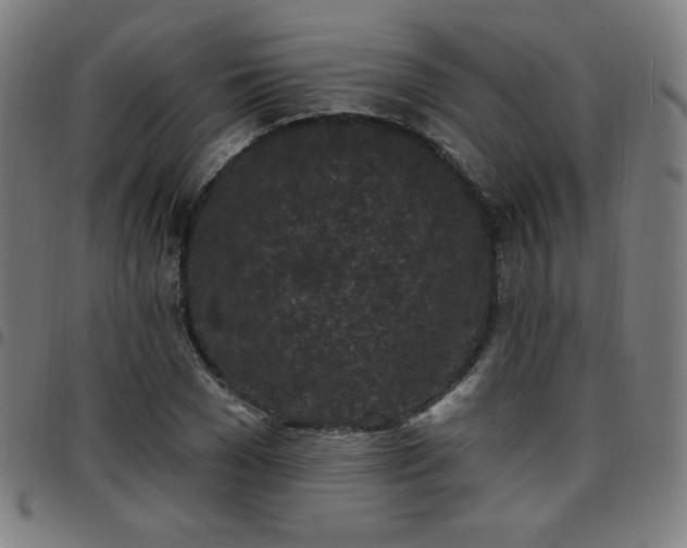 X0000097650977200803071505