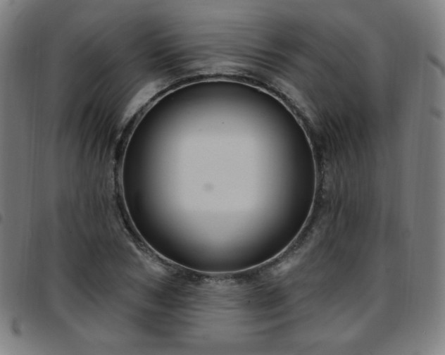 X0000097650978200803071505