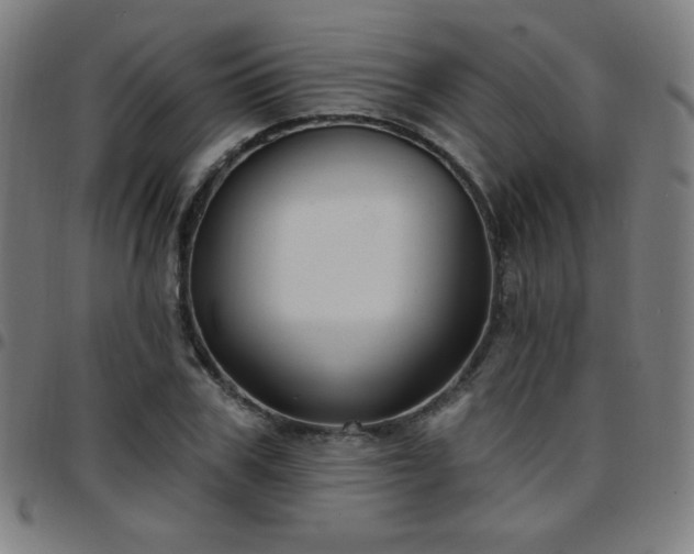 X0000097650979200803071505