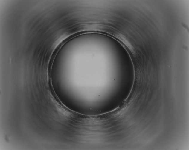 X0000097650980200803071505