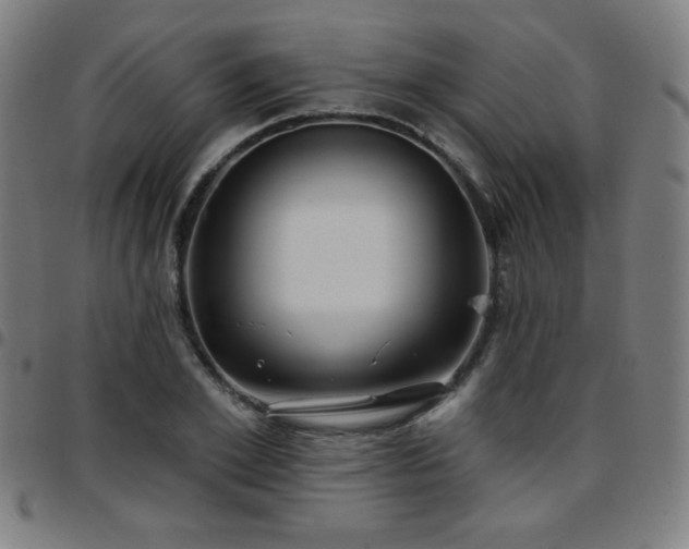 X0000097650981200803071505