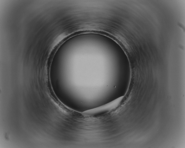 X0000097650982200803071505