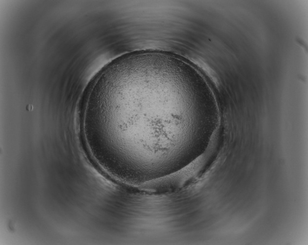 X0000097650983200803071505