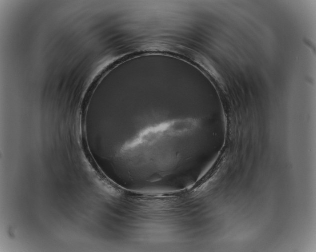 X0000097650984200803071505