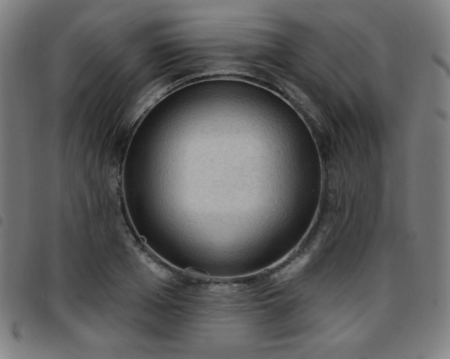 X0000097650985200803071505