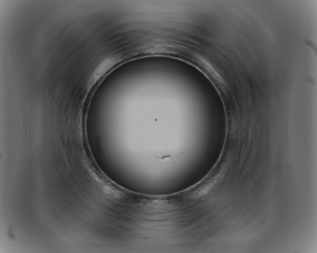 X0000097650986200803071505